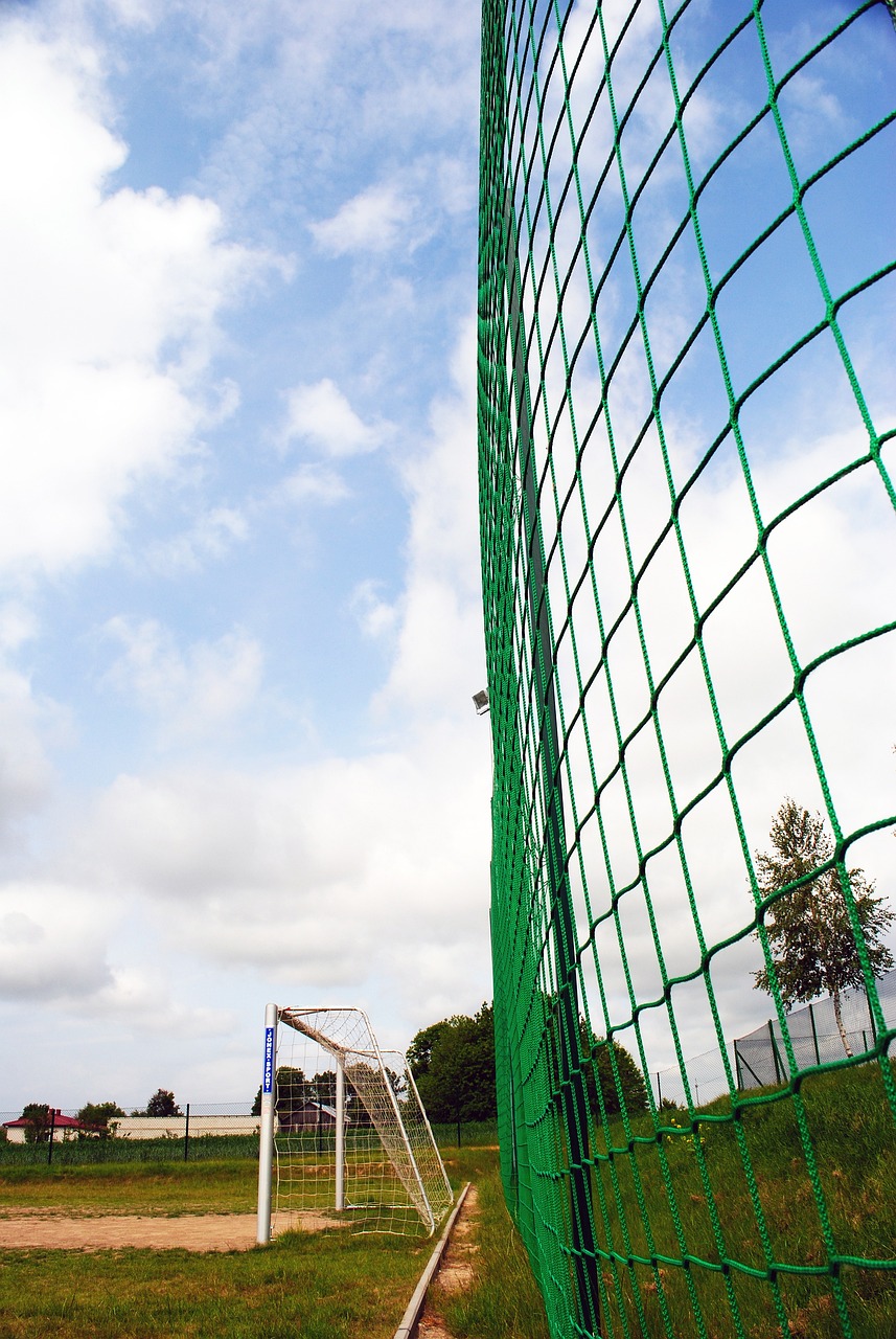 2025年成都混合团体世界杯第二阶段，日乒以8-0战胜瑞典队，取得六连胜，雪藏张本兄妹，伊藤美诚、松岛辉空表现强势。