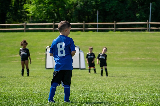 日职乙战报：格拉卡、松原后破门，磐田喜悦2-1战胜鸟栖砂岩