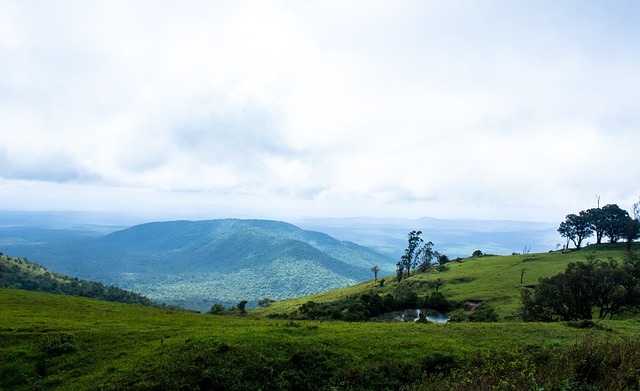 TA：曼城冬窗大概率召回埃切韦里，不排除留队的可能性